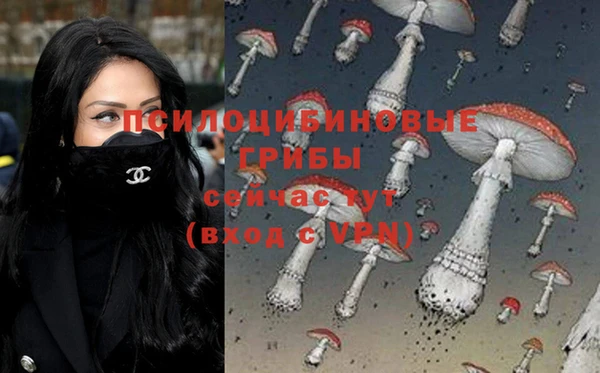 бошки Заволжск