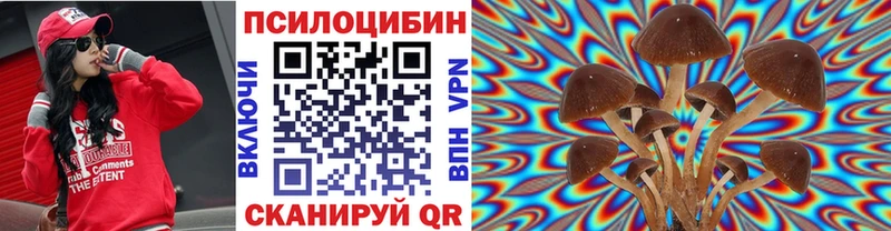 Псилоцибиновые грибы Cubensis  Купить  Михайлов 